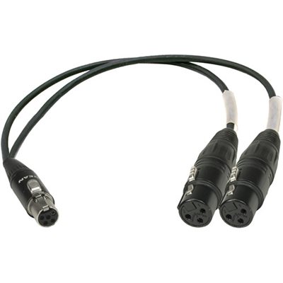 AMBIENT Adapter cable TA5F to 2x XLR-3F, Zaxcom compatible wiring
