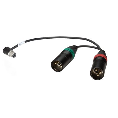 AMBIENT Adaptor cable TA5F to double 3-pin XLR male 20 cm, right ang
