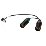 AMBIENT Adaptor cable TA5F to double 3-pin XLR male 20 cm, right ang