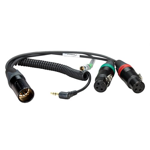 AMBIENT Breakout cable 2xXLR3F, Lemo5pin, 3.5mm TRS-90°, SD 664 / 633