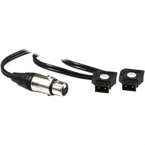 HORNET 200-C Dual Battery Y-Cable - Dual DTap to XLR
