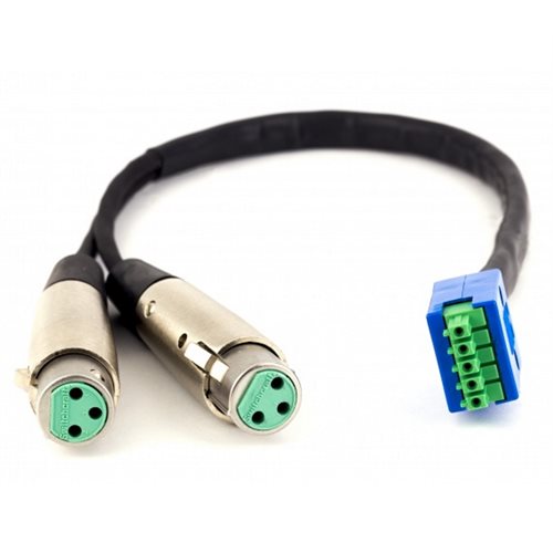 LECTRO ADAPTER CABLE, 2x XLRF TO 5-PIN PHOENIX CONNECTOR