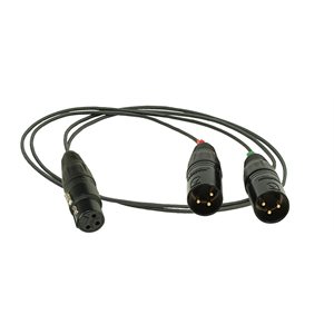 AMBIENT Splitter cable XLR-3F to 2x XLR-3M, lenght 0,5m
